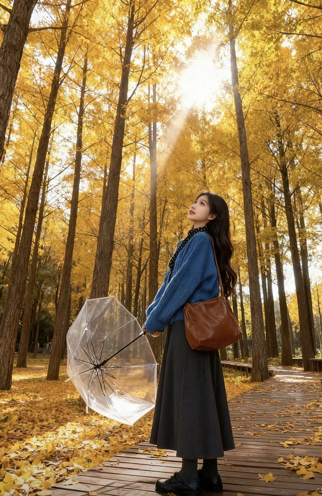 秋日銀杏林的浪漫暴擊!這才是秋天該有的樣子啊 秋日銀杏林的浪漫暴擊!這才是秋天該有的樣子啊