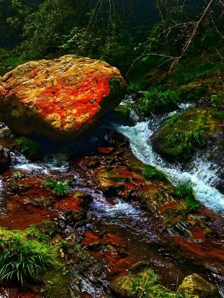 ทัวร์รอบ Shaoyang | Huangsang คือดินแดนมหัศจรรย์ที่ซ่อนเร้นแต่ถูกมองข้าม!