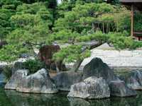 Solo in the Shogun's Garden: A Day at Nijo Castle, Kyoto