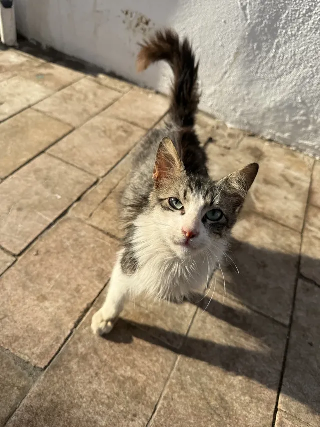 摩洛哥拉巴特｜北非隕落的寶石