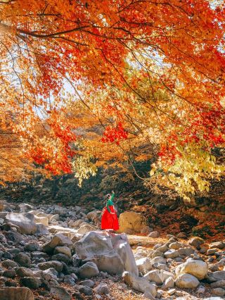 3 Mysterious Maple Leaf Spots on Jeju Island: Hallasan's Autumn is Breathtaking!