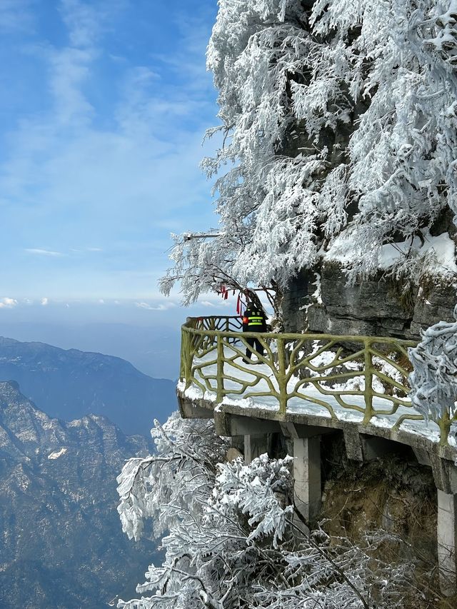 這裡不是阿凡達，是地球上的張家界！