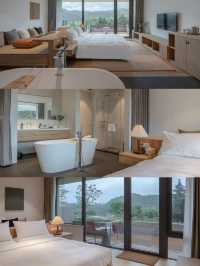 長三角秋日野趣天花板！安吉綠山牆藏著板栗與竹海秋景