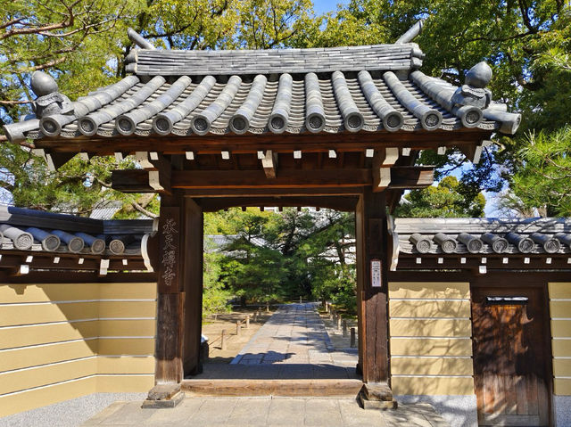 일본 후쿠오카 승천선사 사원—도심 속 숨은 절境의 완벽한 조화