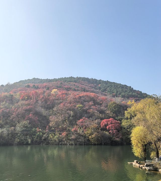 濟南賞秋之紅葉谷 濟南賞秋之紅葉谷