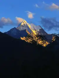 終於有4k實況原畫功能啦