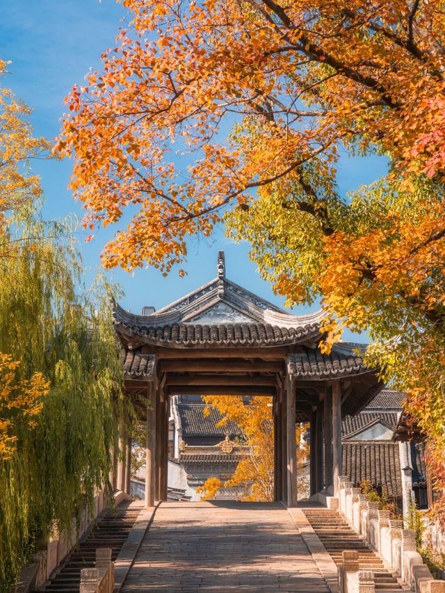 濮院古鎮｜冷門到爆的江南秘境！