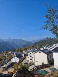 市區1h+達 深秋杭州這個古村落美到失語