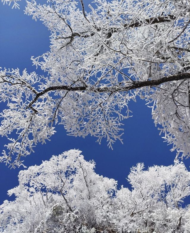 誰懂啊！莽山2025首場霧凇美哭😭 住呢間民宿直接瞓喺度睇冰雪仙境