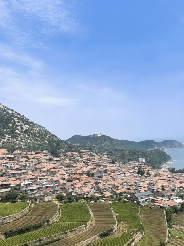 1日青島包車遊 嗨翻整座海濱城