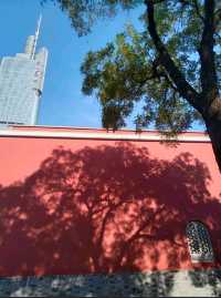 南京鼓樓公園600年古韻味明鼓清碑太出片打卡