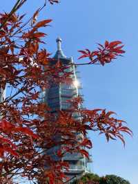 南京被嚴重低估的寶藏景點拍照美爆了