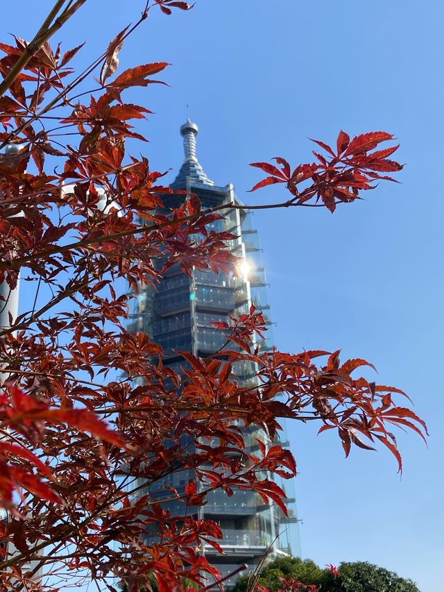 南京被嚴重低估的寶藏景點拍照美爆了