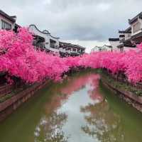 太湖龍之夢樂園攻略：一場水陸空聯動的度假區級狂歡盛宴