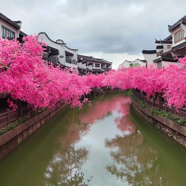 太湖龍之夢樂園攻略：一場水陸空聯動的度假區級狂歡盛宴