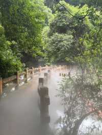 福建必玩！一日玩轉岱仙瀑布，拍出震撼人心的瀑布美照！