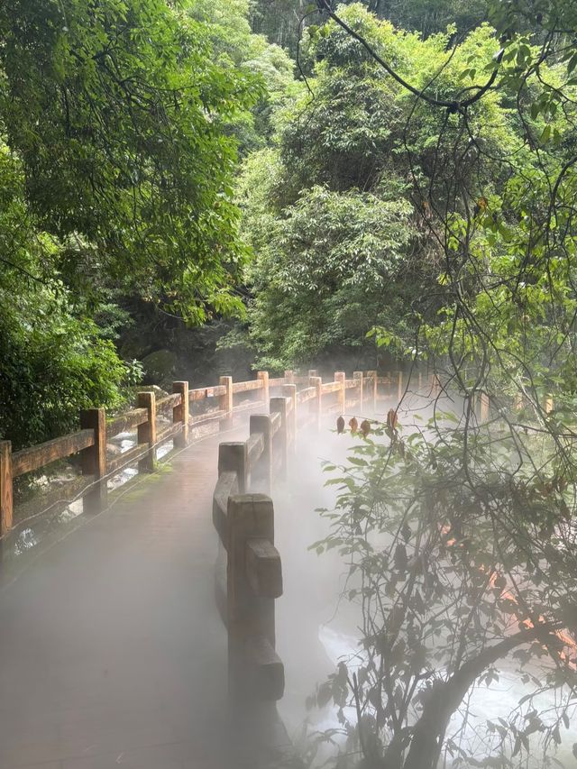 福建必玩！一日玩轉岱仙瀑布，拍出震撼人心的瀑布美照！