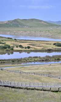 這樣輕柔靈動的黃河，你見過嗎？