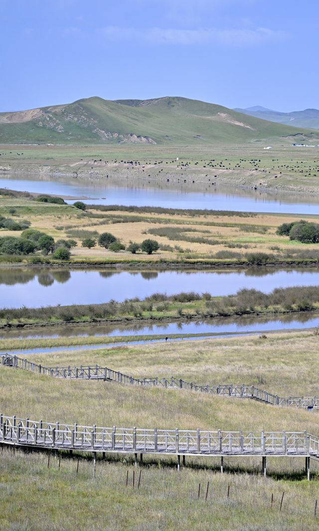 這樣輕柔靈動的黃河，你見過嗎？