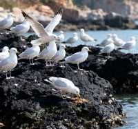 山海之間的仙境之旅