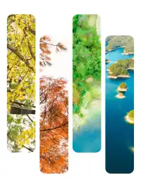 千島湖冬日色卡|高級感直接拉滿,太出片!