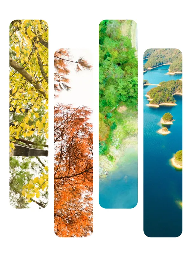 千島湖冬日色卡|高級感直接拉滿,太出片! 千島湖冬日色卡|高級感直接拉滿,太出片!