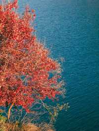 巧英水庫觀星指南