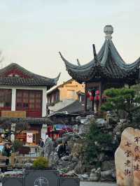 Почему Шанхай весной прекраснее всего 🌸