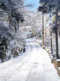 南方小夥伴12月都去廬山看雪2天1夜最全攻略!