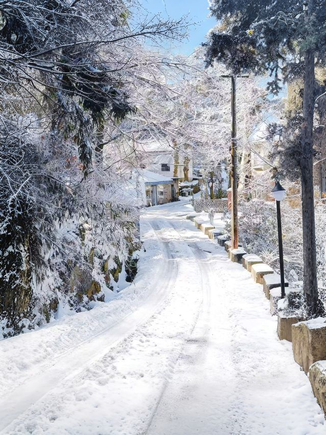 南方小夥伴12月都去廬山看雪2天1夜最全攻略! 南方小夥伴12月都去廬山看雪2天1夜最全攻略!