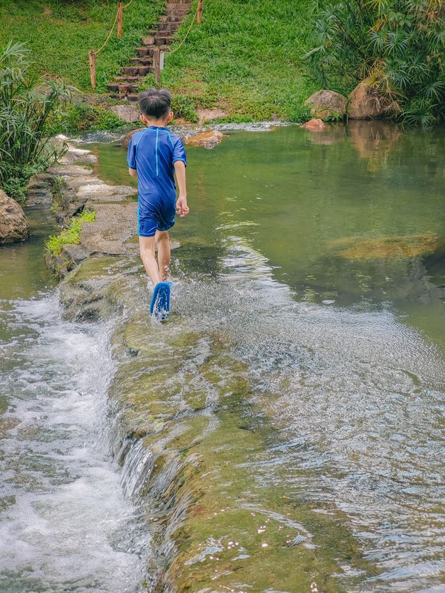 去一萬次都不夠！深圳我最愛的治癒系公園！