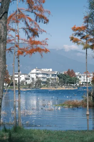 Dali Erhai Lake on November 30th is truly breathtakingly beautiful (with photo spots)