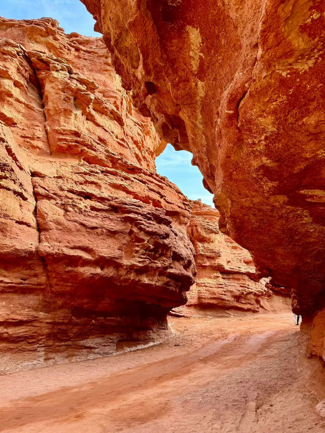高鐵開通前衝!烏海這顆西北遺珠,沙海共生美到窒息 高鐵開通前衝!烏海這顆西北遺珠,沙海共生美到窒息