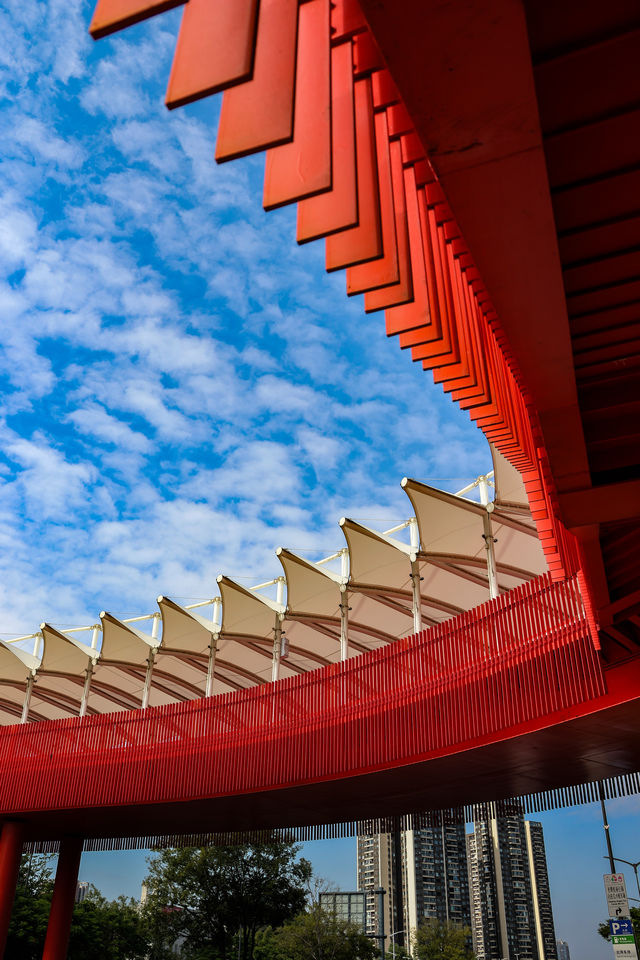 深圳虹橋公園遊玩全攻略! 深圳虹橋公園遊玩全攻略!