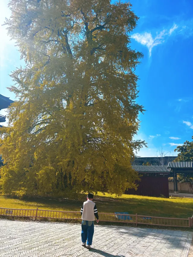 濮院|從宜興出發1.5h找到古鎮白月光! 濮院|從宜興出發1.5h找到古鎮白月光!