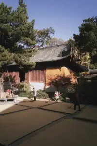 天台山藏了1400年的秘密,一草一木皆佛性