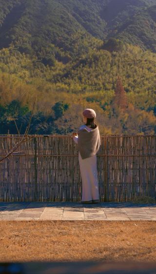 At the foot of Siming Mountain | Shaoxing Ancient Village Ginkgo Check-in