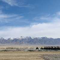 青海秘境｜送你一朵翡翠色的小紅花大柴旦翡翠湖全攻略