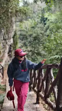 【成都天台山手記|與螢火一起登頂的初夏】