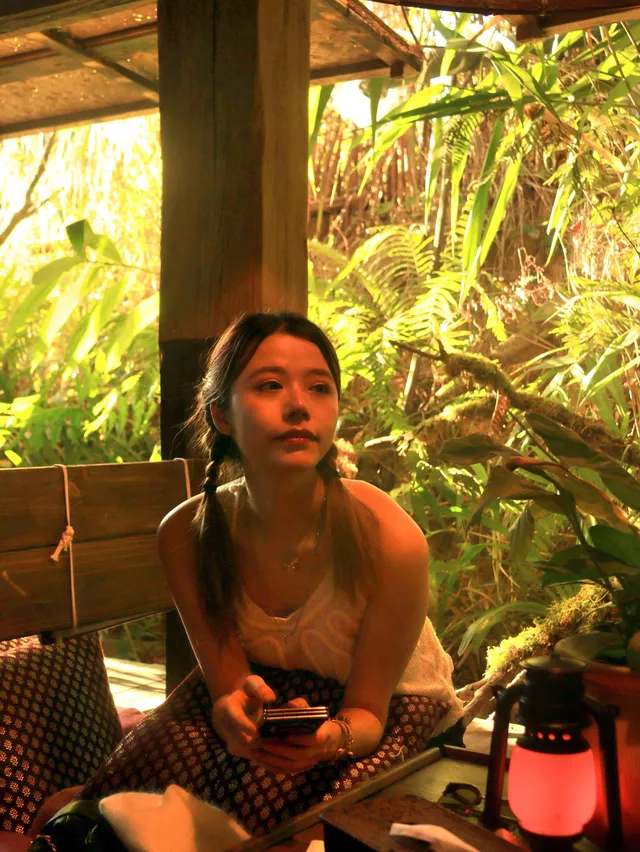 景邁山兩天一夜治癒攻略|避坑+保姆級安排 景邁山兩天一夜治癒攻略|避坑+保姆級安排