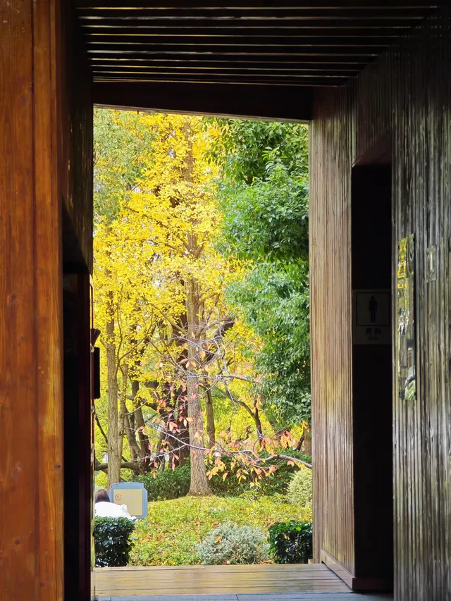 世博公園限時銀杏，週末快衝| 附機位攻略