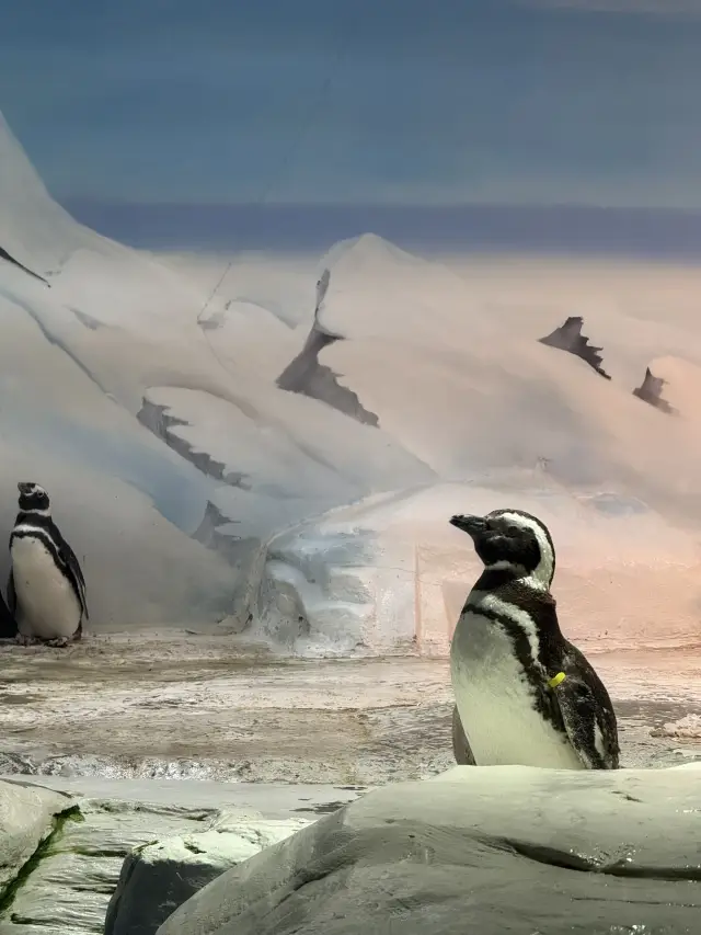 마음을 바다에 담으면 여행에 답이 생긴다