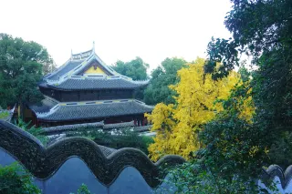 Shanghai Local Guide Plog|Taking Clients to Wuxi and Running into a Big Celebrity