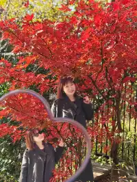 上海植物園一日遊