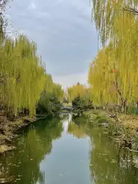 老舍：上帝把秋和冬全賜給了濟南