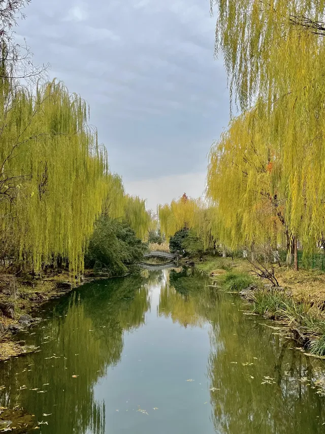 老舍：上帝把秋和冬全賜給了濟南