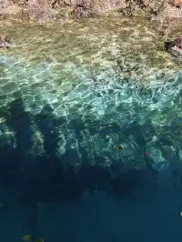 自駕玉龍雪山 牦牛坪藍月谷冰川公園攻略