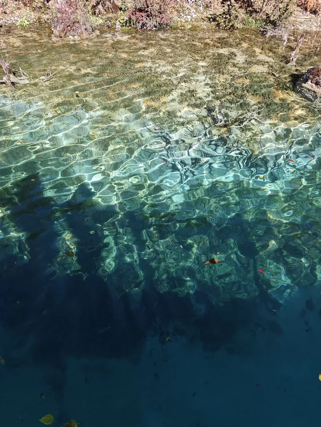 自駕玉龍雪山 牦牛坪藍月谷冰川公園攻略