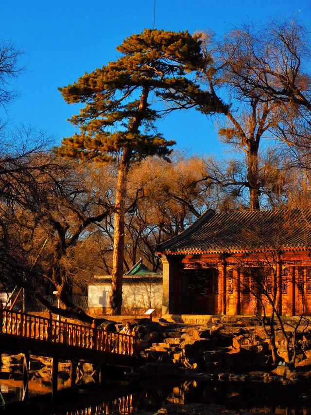 皇家禮遇與雪原牧歌的奇遇記 皇家禮遇與雪原牧歌的奇遇記