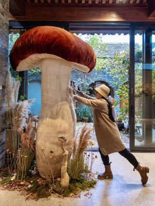 Beijing New Exhibition | Artistic Encounter with a Giant Ruby Bolete